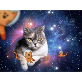 Puzzle pisicute in spatiu 1500 piese